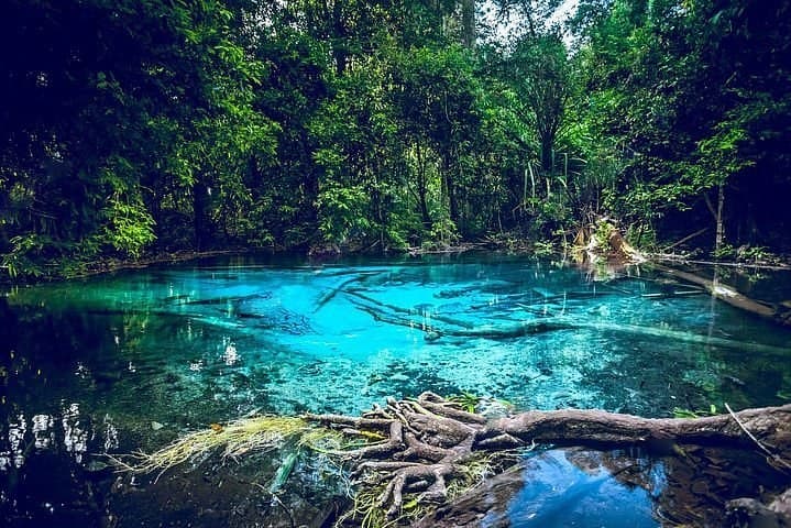 The Blue Pool, deep in the forest beyond the Emerald Pool