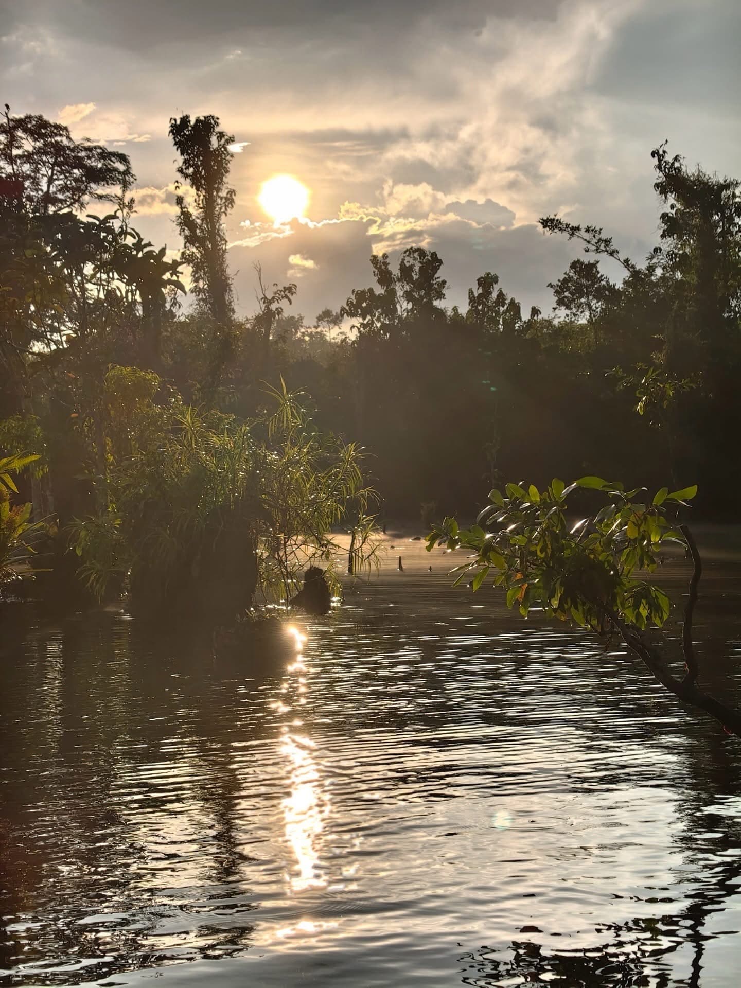 Sunrise through the drowned forest at Mirror Lake