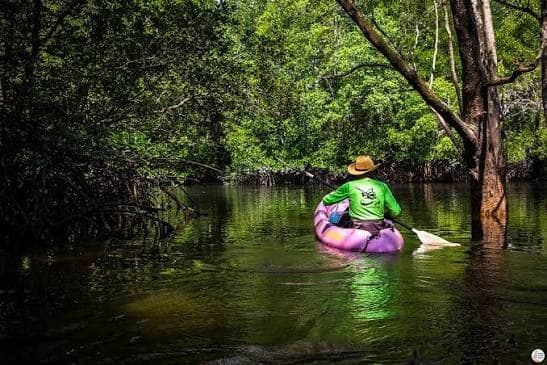 Kayaking the mangrove channels of the Bor Thor river