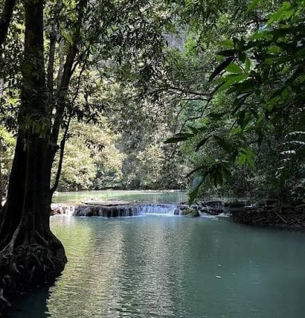 The green stream and small falls at Than Bok Khorani