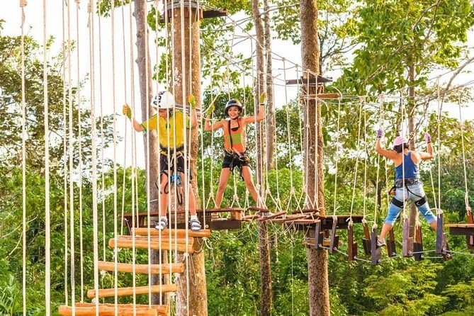 The rope bridges and platforms in the trees